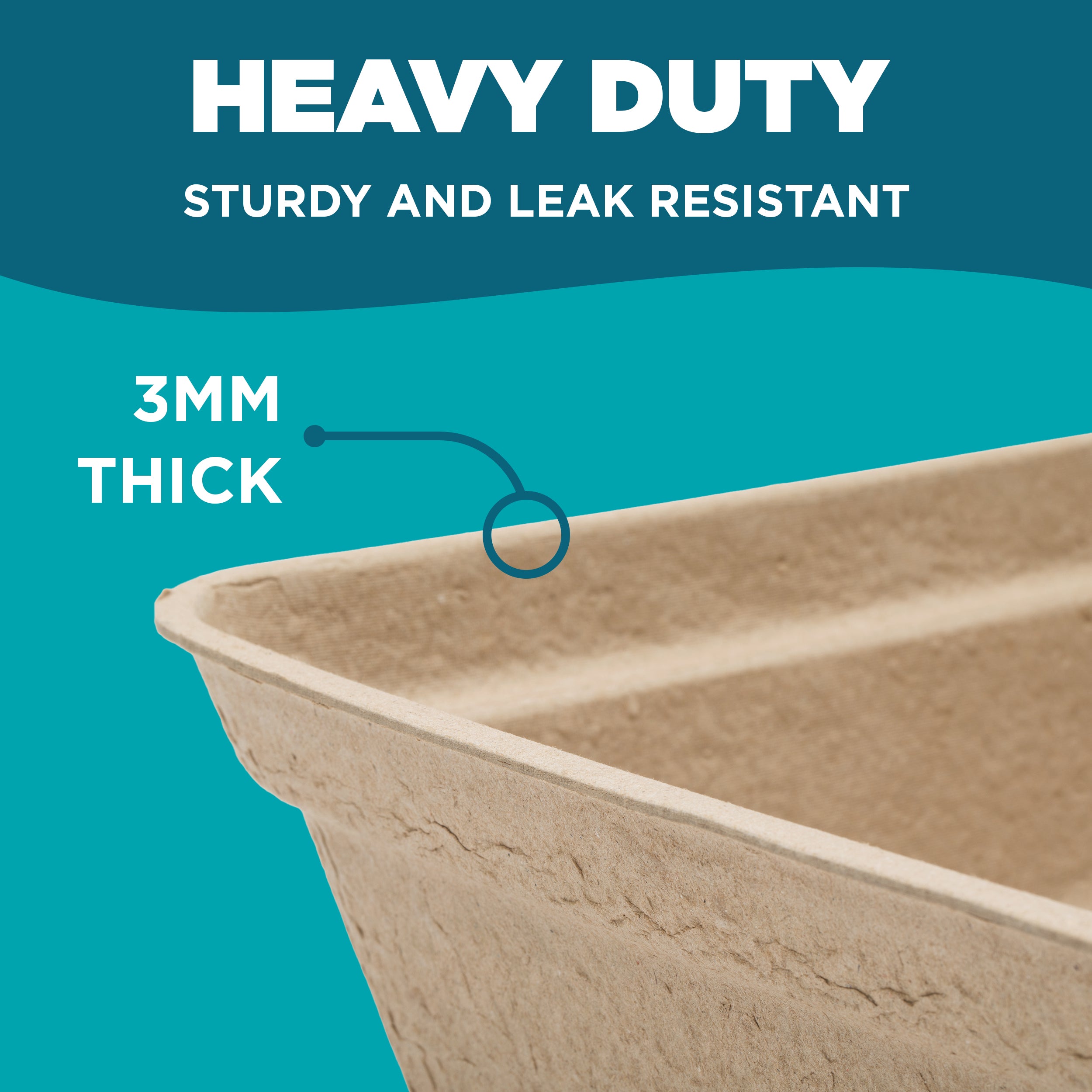 Green palm leaf beside blank white cards on a plain background.