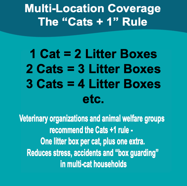 A single monstera leaf in a clear glass vase against a white background.