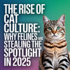The Rise of Cat Culture: Why Felines Are Stealing the Spotlight in 2025