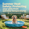 Summer Heat Safety: Protecting Your Pets from Extreme Temperatures