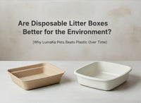 Are Disposable Litter Boxes Better for the Environment? (Why LumaKa Pets Beats Plastic Over Time)