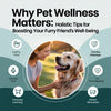 Why Pet Wellness Matters: Holistic Tips for Boosting Your Furry Friend's Well-Being