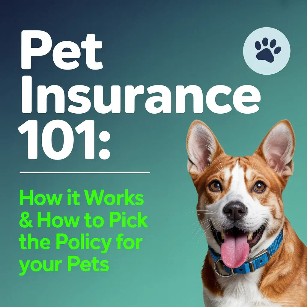 Petsecure Insurance Pet Insurance 101: How It Works & Tips for Choosing the Best Policy ...
