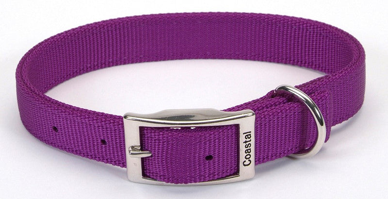 Coastal Double-Ply Nylon Collar Purple 1X24In