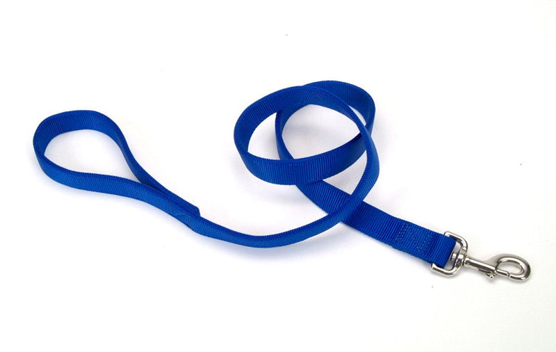 Coastal Double-Ply Nylon Dog Leash Blue 1ea/1 In X 4 ft