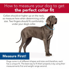 Inspire Adjustable Dog Collar Red 1 x 18-26in. Large