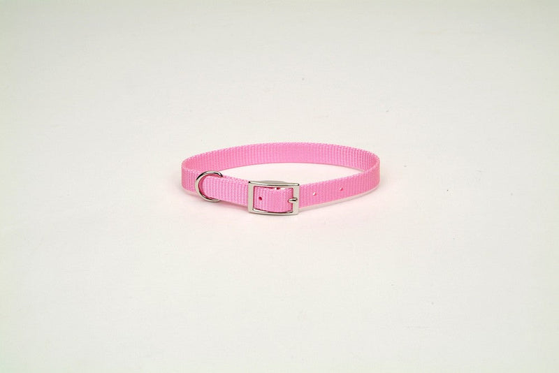 Coastal Single-Ply Nylon Collar Bright Pink 3/4X16In