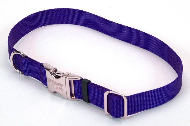 Coastal Adjustable Nylon Dog Collar with Titan Metal Buckle Blue 1ea/3/4 In X 14-20 in