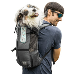 K9 Sport Sack Trainer