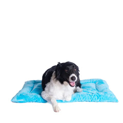 Armarkat Pet Bed Mat, Dog Crate Soft Pad W Poly Fill Cushion