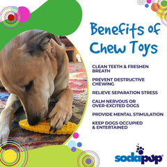 SP Corn on the Cob Ultra Durable Nylon Dog Chew Toy for Aggressive Chewers