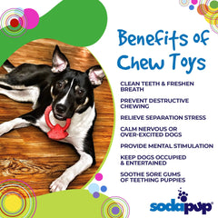 Diamond Ring Durable Teething Ring for Puppies and Aggressive Chewers