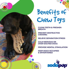 SP Peanut Ultra Durable Nylon Dog Chew Toy for Aggressive Chewers