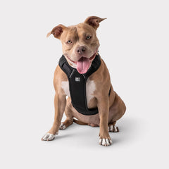 GF Pet  Travel Harness