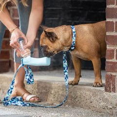 GF Pet  Water Bottle