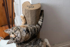 Kitty Corner Cat Scratching Post (2 pieces)