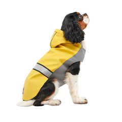 Goo-Eez Reflective Hooded Raincoat Yellow/Gray Medium