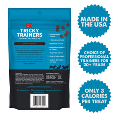 Cloud Star Chewy Tricky Trainers Salmon Flavor Dog Treats; 5oz. Bag