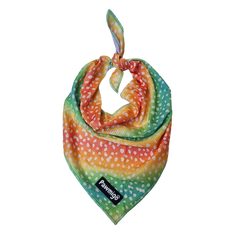 Chasing Rainbows Cooling Bandana